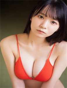 加油金顺第三部